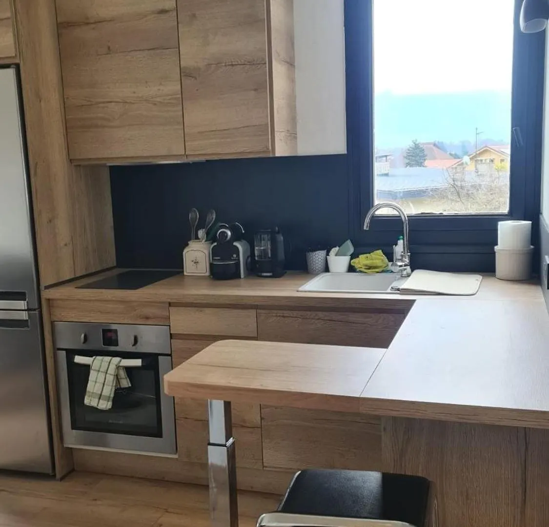 Charmant Apartment Vue Montblanc Sallanches