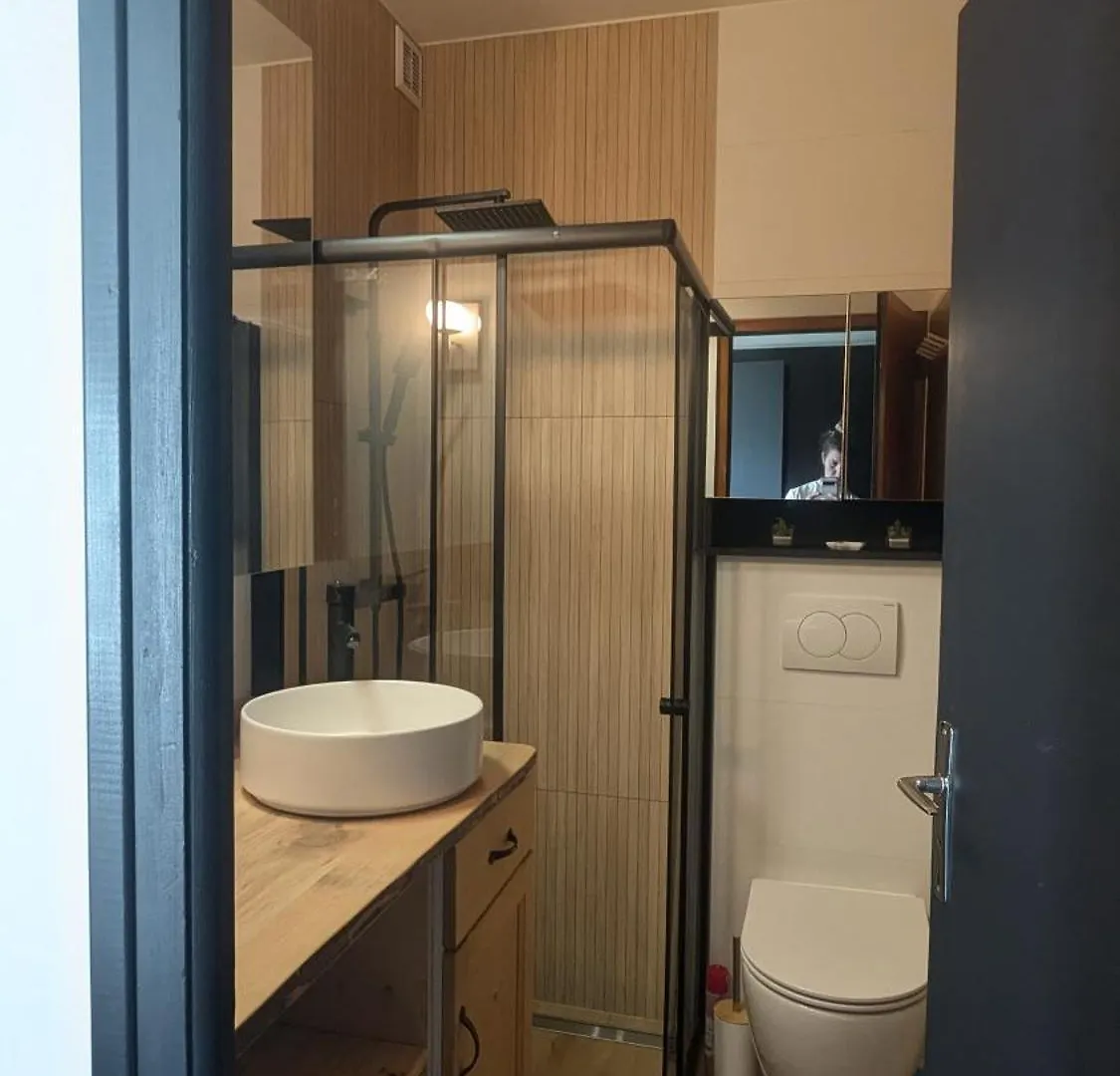 Charmant Apartment Vue Montblanc Sallanches